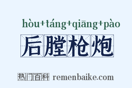 后膛枪炮是什么意思的图片